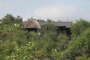 Leopard Rock Bush Lodge